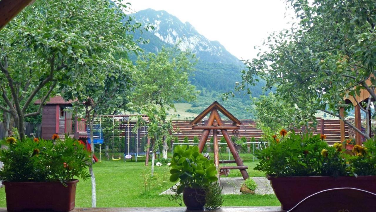 Sura Pietrei Craiului Zarnesti Exterior foto
