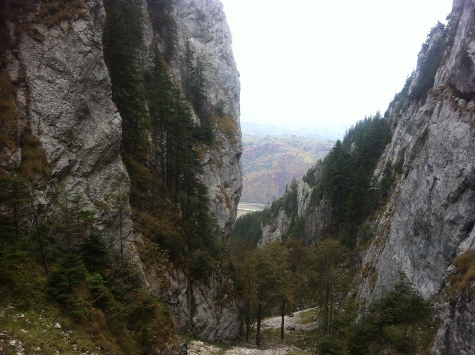 Sura Pietrei Craiului Zarnesti Exterior foto
